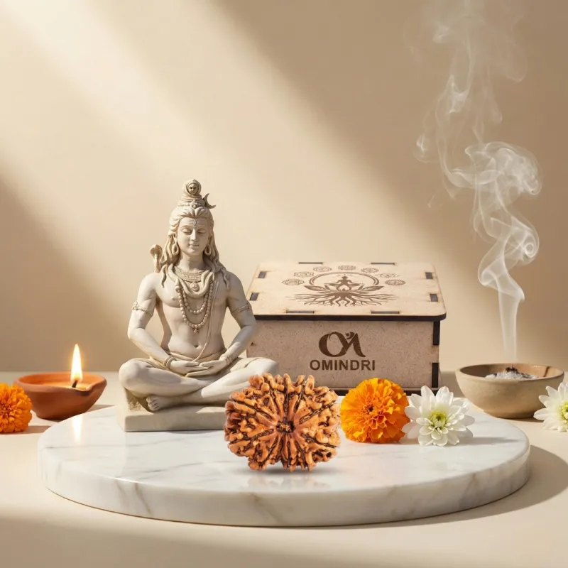 12 Mukhi Nepali Lab Certified Rudraksha